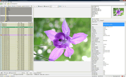 WildBit Viewer v.5.9 - просмотрщик графических файлов с поддержкой работы в режиме слайд-шоу и встроенным редактором изображений