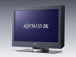 22.2-inch TFT LCD monitor from Iiyama