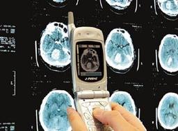 Мультимедийные телефоны 2,5G и 3G оказались привлекательны для корпоративного рынка
