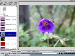 Linux: новая версия gqview 1.2.1