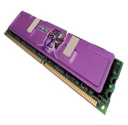 PNY Technologies offers 512Mb Verto Hi Speed PC3500 DDR