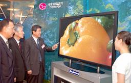 71-дюймовый Giant PDP: плазменный ТВ от LG Electronics с 1,8-метровой диагональю