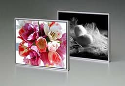 NEC-LCD samples three 21.3 panels for professional use