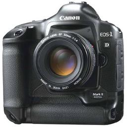 8.2Mp Canon EOS-1D Mark II: old name, new stuffing
