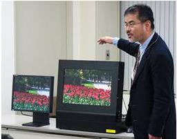 Mitsubishi Electric: прототип нового ЖК-монитора с цветовым пространством Adobe RGB