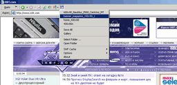 Интернет и сети: Flash Saving Plugin v.1.1.2