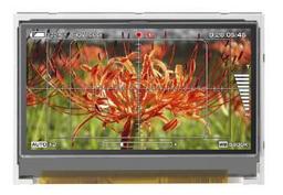3,5" QHD-дисплей NEC придаст импульс КПК