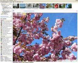 cPicture LE v.3.0 - небольшая программа для работы с изображениями