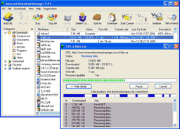 Диспетчеры закачек: Internet Download Manager v.5.1.9 Build 3
