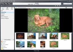Мультимедиа: J. River Media Center v.13.0.171