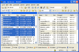 FTP-клиенты: WinSCP v.4.1.4 Beta