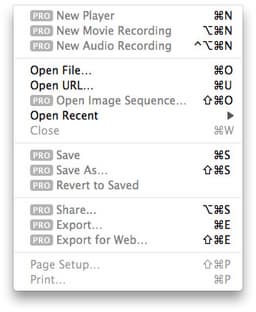 В Snow Leopard будет интегрирована Pro-версия QuickTime 