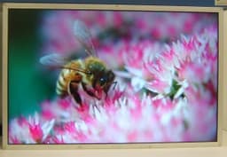 Первый в мире - с интерфейсом DisplayPort: новый 30-дюймовый монитор Samsung Electronics