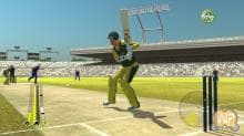 Анонс: спортивный симулятор Brian Lara International Cricket 2007 (PS2, Xbox 360, PC)