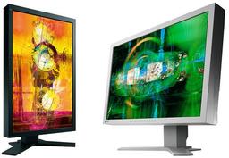 EIZO FlexScan SX2462W — 24" монитор с разъемом Display Port