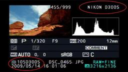 «Утечка» на сайте Nikon подтверждает скорый выход новой зеркальной камеры?