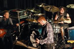 Супергруппа Them Crooked Vultures вскоре займется вторым альбомом