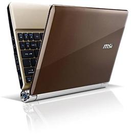 Основой для нетбука MSI Wind U160 стала платформа Intel Pine Trail