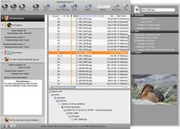 Tidy Up 2.3.4 для Mac — поиск файлов-дубликатов