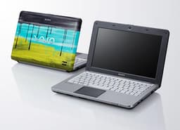 Sony VAIO W Billabong Edition — нетбук с яркой внешностью