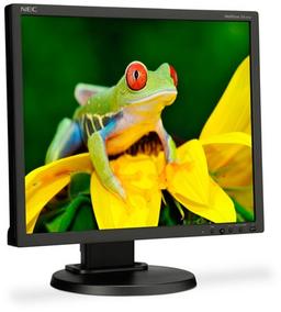 NEC оснащает мониторы MultiSync EA192M и E201W портами DisplayPort