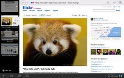 Firefox 20 для Android поддерживает приватный просмотр