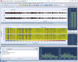 Acoustica v.5.0 Build 53 - программа для обработки и редактирования аудио-файлов