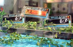Computex 2011: яркие модули памяти WinChip