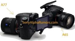 Выпуск камер Sony A77 и A65 намечен на август