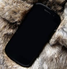 Новый Google Nexus получит процессор с частотой до 1,5 ГГц и ОС Android 4.0?