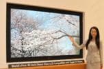 Компания Sharp показала первый в мире дисплей Super Hi-Vision