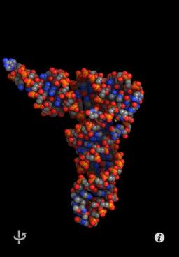 Molecules 2.1 — трехмерные модели химических соединений на iPhone