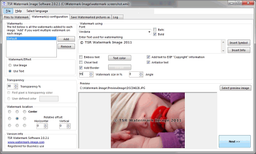 TSR Watermark Image v.2.3.1.7 - бесплатная программа для наложения водяных знаков на изображения
