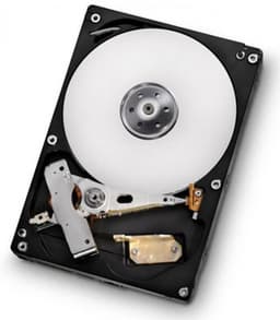 В конструкции терабайтных HDD Hitachi Deskstar и Cinemastar 7K1000.D и 5K1000.B используется только одна пластина