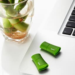 USB-диски Apacer AH153 и AH137 выполнены в виде бамбукового стебля