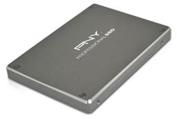 PNY использует в твердотельных накопителях серии Professional SSD контроллеры SandForce SF-2281 и SF-2282