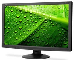 Серию мониторов NEC AccuSync пополнила 24-дюймовая модель AS241W
