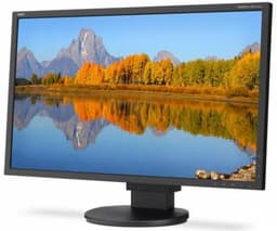 Монитор NEC MultiSync EA243WM диагональю 24 дюйма оснащён светодиодной подсветкой