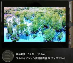 У Japan Display готов дисплей Full HD типа OLED размером 5,2 дюйма