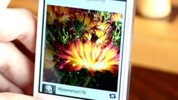 FocusTwist 1.3 для iOS — изменяем фокус на сделанных фото
