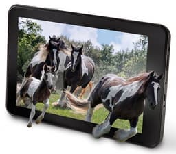 Планшетный ПК Hammacher The No Glasses 3D Tablet способен формировать объёмное изображения без использования очков