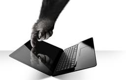 Corning представила новый материал Gorilla Glass NBT для защиты экранов сенсорных ноутбуков
