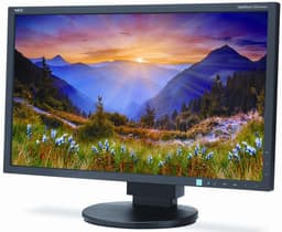 NEC использует в мониторе MultiSync EA234WMi ЖК-панель AH-IPS