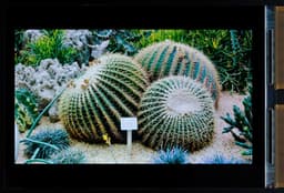 Japan Display инвестирует в производство экранов OLED, рассчитывая в будущем году начать выпуск дисплеев Full HD размером 5,2 дюйма