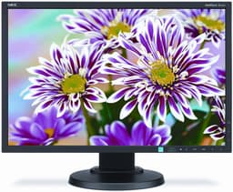 Ассортимент NEC пополнился 22-дюймовым монитором MultiSync E223W