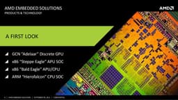 На 2014 год AMD планирует выпуск SoC Hierofalcon, APU и CPU Bald Eagle, APU Steppe Eagle и GPU Adelaar