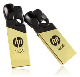 PNY украшает флэш-накопитель HP v239g позолотой и головой Ганеши