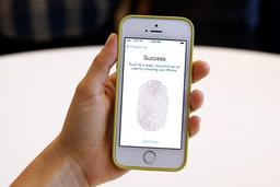 Synaptics покупает долю Renesas в предприятии, выпускающем контроллеры дисплеев и датчики отпечатков пальцев для iPhone