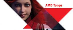 GPU AMD Tonga будет относиться к верхнему, а не среднему сегменту; 3D-карты на его основе сменят модели Radeon R9 280 и R9 280X