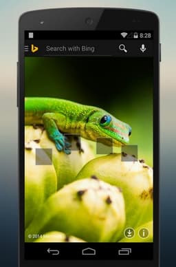 Вышло обновление Bing 5.0.1 для Android